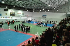 46508960_2261671143864531_3046553386909433856_n