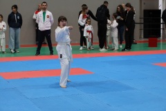 Provas_018