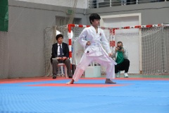 Provas_102