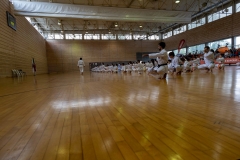porto9