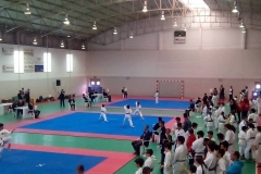 13321813_1191147974250192_7915090653435468306_n