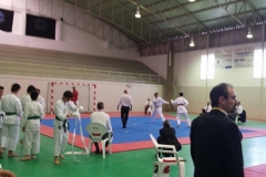 13325625_1191147887583534_2775213042341538705_n