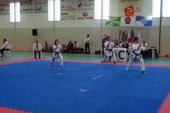 13330958_1191858484179141_2763837854303516472_n