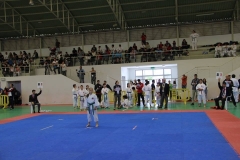 13406800_1191148034250186_241666457853594703_n