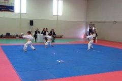 13413527_1191858510845805_7103518185668744888_n