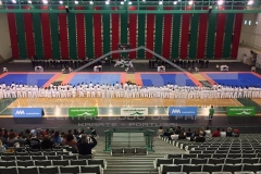 18222385_1547312981967021_1420898434997601256_n